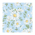 Daisy Sky - Luncheon Napkin 20Pk