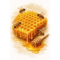 Bee's and Honeycomb-MORE JOY Dishcloth
