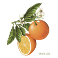 Oranges-MORE JOY Dishcloth
