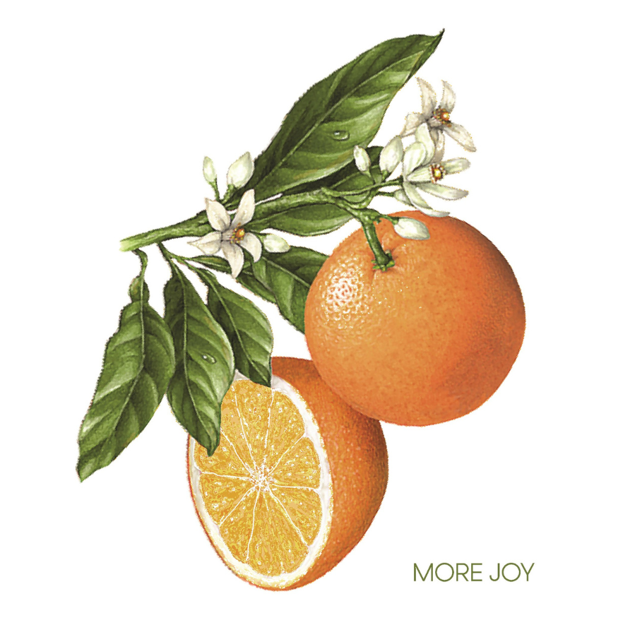 Oranges-MORE JOY Dishcloth